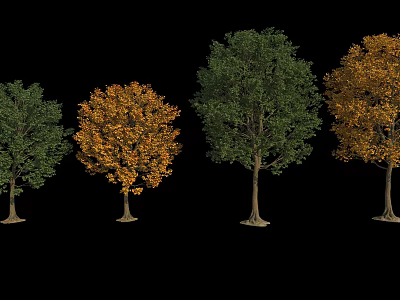 Four Arbor Trees With Green And Orange Leaves And Tall Trunks On Black Background 3d model