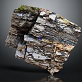 Natural Wood Stone with Layered Structure Varied Textures Colors Rough Surface and Green Moss Accents
