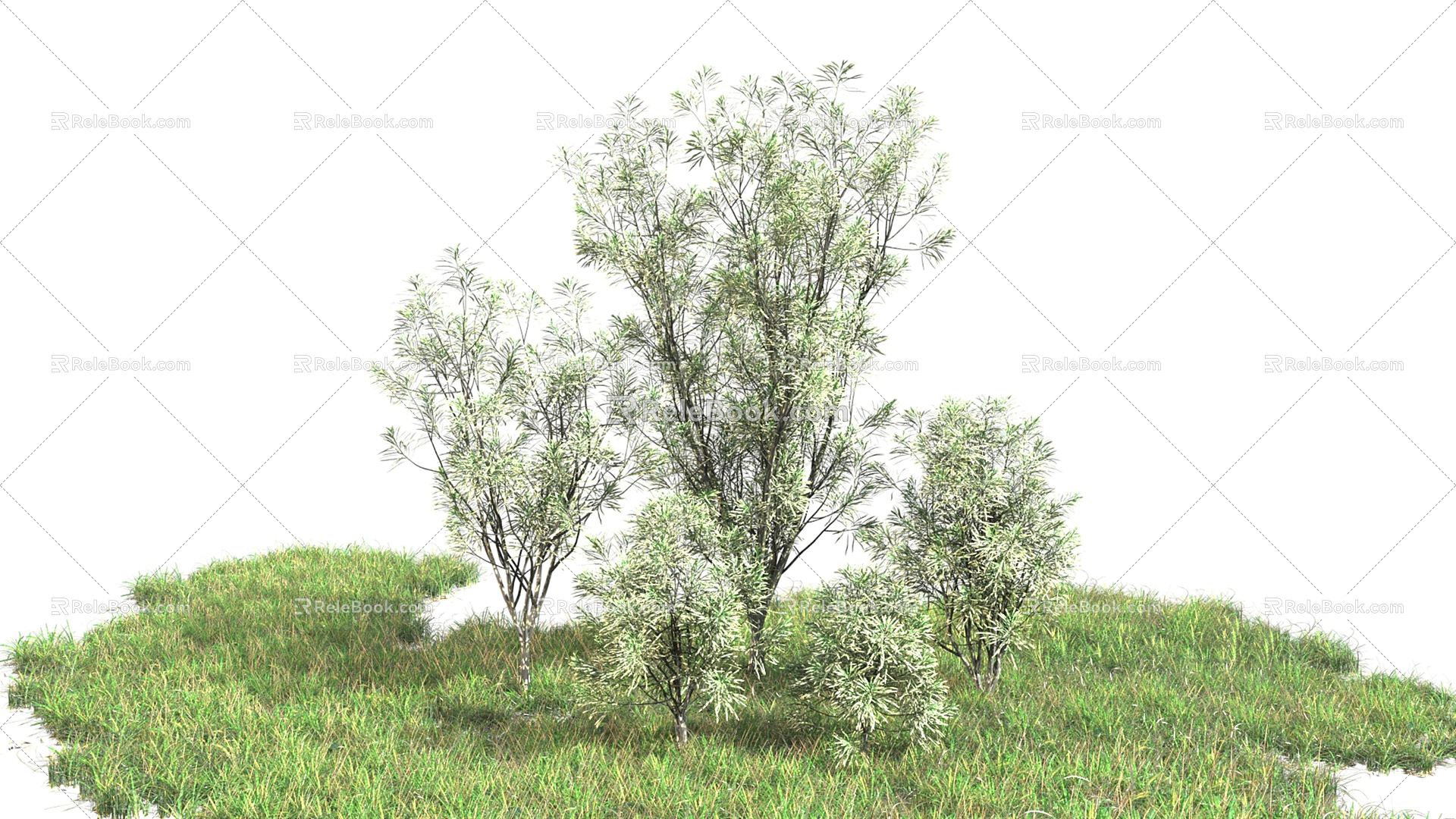 Modern shrubs model