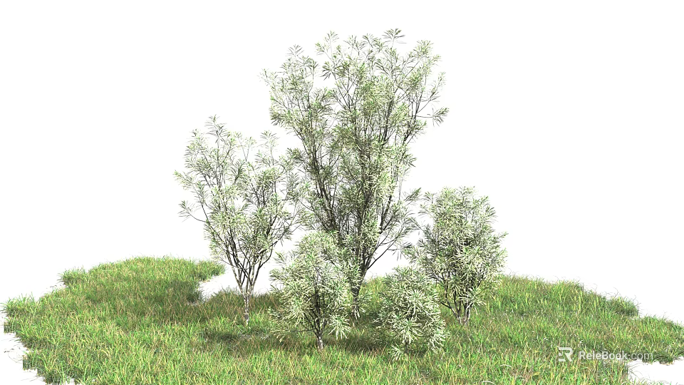 Lush Green Shrubs Thriving In Natural Grassy Area With Fresh Green Leaves 3d model 