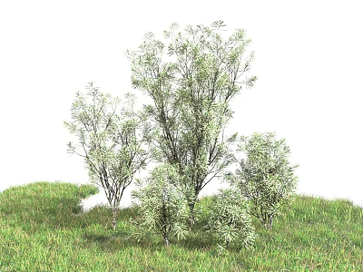 Lush Green Shrubs Thriving In Natural Grassy Area With Fresh Green Leaves 3d model