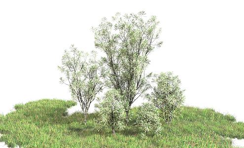 Modern shrubs 3d model