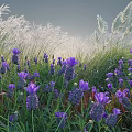 Vibrant Purple Flowers And Tall Green Grasses Thriving In Sunlit Natural Garden Area