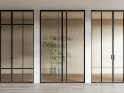 Modern Interior Glass Doors With Black Frames And Potted Plant 3d model