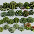 Assorted Garden Shrubs With Various Shapes Colorful Foliage And Green Red Leaves