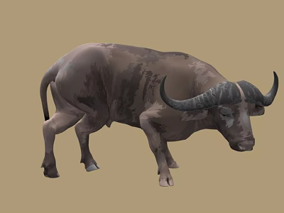 Buffalo Bull Bound Bands Animated Livestock Livestock Cartoon Stylized Bison Grassland 3d model