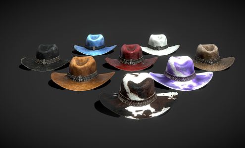 Modern hat cowboy hat bag 3d model