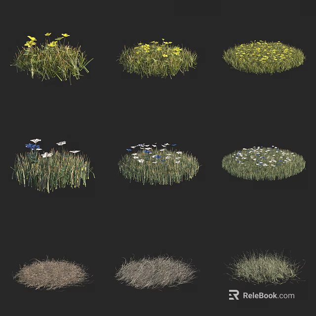 Various Types of Flowers and Grass with Yellow and White Blooms in Different Shapes 3d model 
