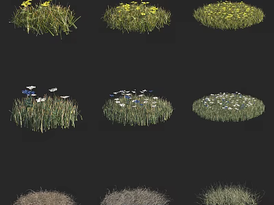 Various Types of Flowers and Grass with Yellow and White Blooms in Different Shapes 3d model