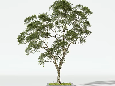 Lush Arbor With Vibrant Green Leaves And Sturdy Trunk On Grass Base 3d model