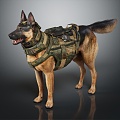 Modern Dog Army Dog Drug Dog 3d model