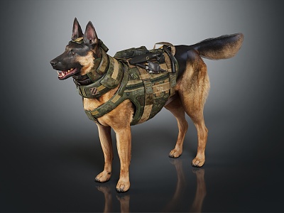 Modern Dog Army Dog Drug Dog 3d model