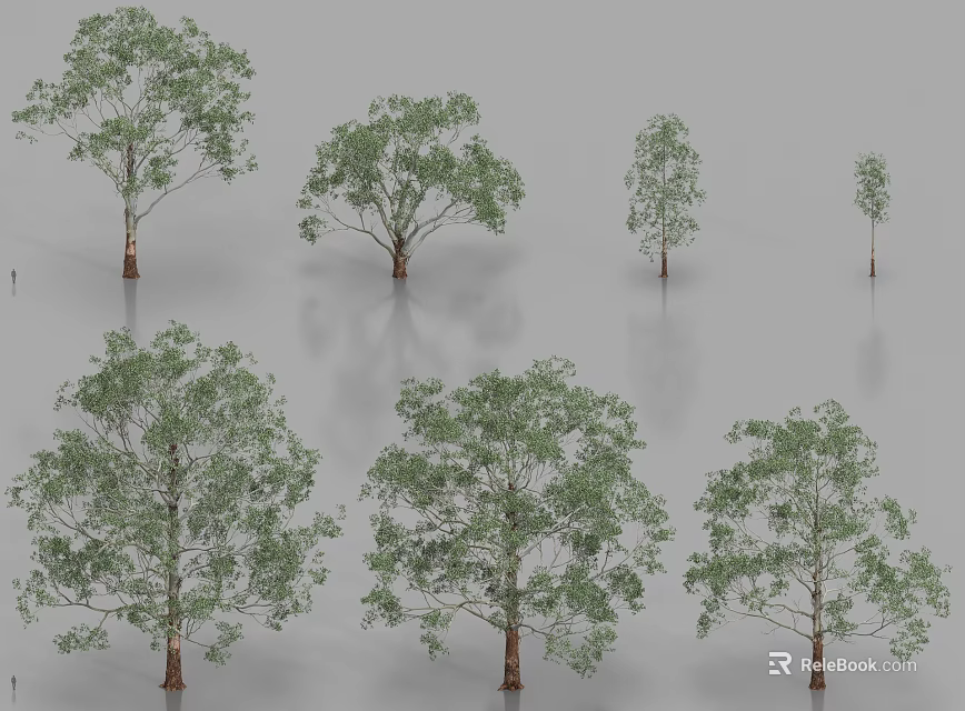 Various Arbor Trees With Different Leafy Canopies And Trunk Shapes 3d model