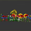 Various Colorful Flowers With Different Types Green Leaves And Stems Arranged