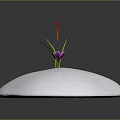 Vibrant Plant With Purple Petals Red Stamens Green Stems On White Rounded Base Dark Background