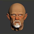 Detailed 3D Male Head Model With Bald Head White Beard Against Gray Background And Reflection