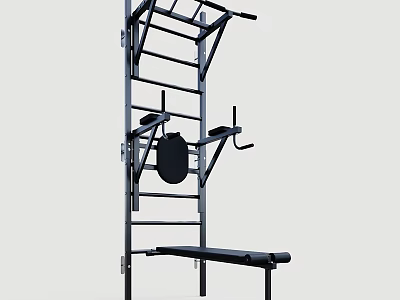 Multifunctional Home Gym Fitness Equipment with Metal Frame Pull Up Bars and Training Bench 3d model