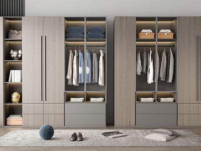 Modern wardrobe model