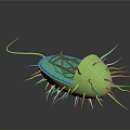 Green Microbial Cell Featuring Blue Section Pink Organelles and Hair like Cilia