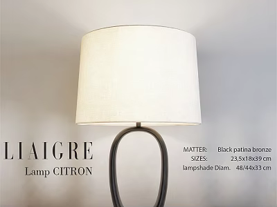 LIAIGRE CITRON Lamp with Black Patina Bronze Base and 48.4433 cm Lampshade Diameter 3d model