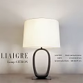 LIAIGRE CITRON Lamp with Black Patina Bronze Base and 48.4433 cm Lampshade Diameter