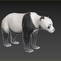 Realistic 3D Panda Model With Black And White Fur Standing On Gray Background