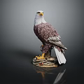 Eagle Sculpture Standing On Rock Base With White Head Brown Body White Tail 3d model