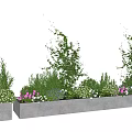 Garden Landscape Design With Concrete Planters Various Green Plants And Colorful Flowers