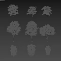 Arbor Trees With Different Shapes Sizes And Human Figures For Proportion Comparison 3d model