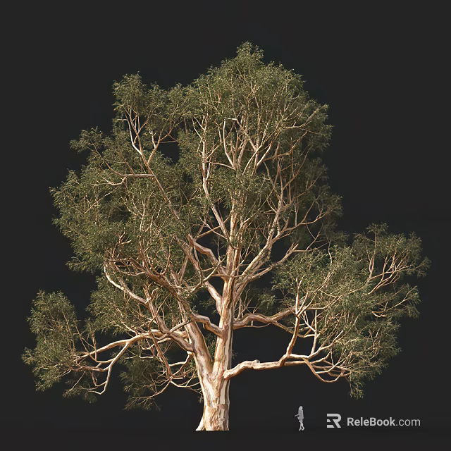 Tall Arbor With Lush Green Foliage And Intricate Branch Structure Against Black Background 3d model 