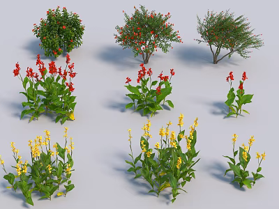 Diverse Collection of Flowering Shrubs with Red Yellow Blooms and Green Foliage 3d model