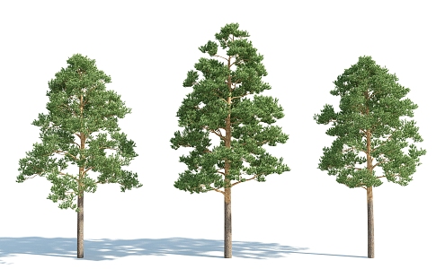 The Modern Tree 3d model