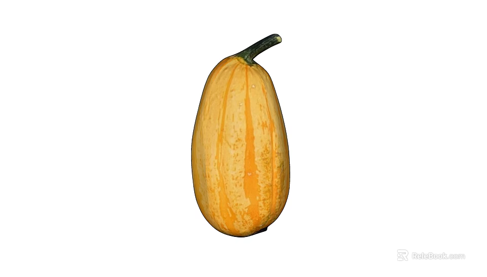Fresh Elongated Yellow Striped Pumpkin Fruit With Green Stem Isolated On White Background 3d model 