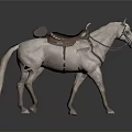 Light Gray Standing Horse With Detailed Brown Leather Saddle And Bridle