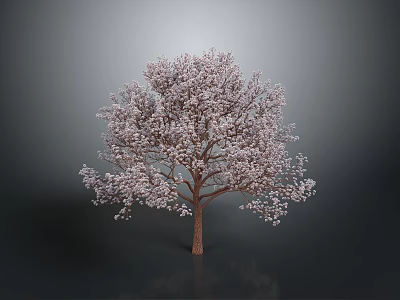 Lush Tree With Pink Blossoms And Brown Trunk Against Gray Background 3d model