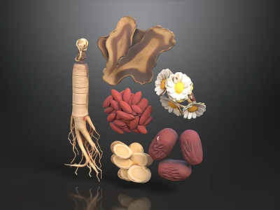 Traditional Chinese Herbal Medicine Collection With Ginseng Wolfberry Chrysanthemum And Poria 3d model