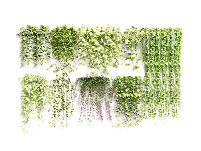 Artificial Decorative Vines With Various Green White Purple Leafy Trailing Foliage 3d model