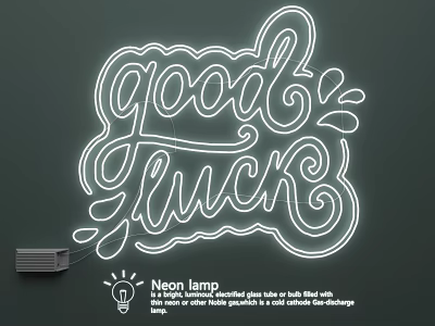 Luminous Decorative Neon Lamp Set With Bright Brush Script Design And Soft Edge Lighting 3d model