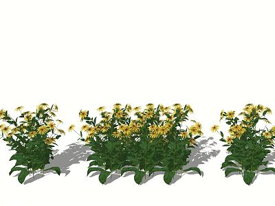 Fresh Yellow Flowers Arranged in Vase with Green Leaves for Home Decor 3d model