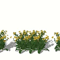 Fresh Yellow Flowers Arranged in Vase with Green Leaves for Home Decor
