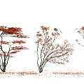 Three Red Leaf Arbor Trees With Falling Leaves On White Background 3d model