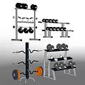 Modern Sports Equipment Display With Dumbbell Racks And Barbell Storage Solutions