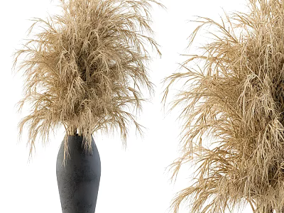 Elegant Decorative Ornament Set with Pampas Grass in Black Vase for Home Decoration 3d model