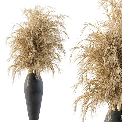 Elegant Decorative Ornament Set with Pampas Grass in Black Vase for Home Decoration 3d model