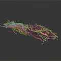 Arbor Tree Roots With Natural Dried Texture And Small Green Shoots