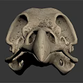 Detailed Bird Skull Anatomical Structure With Hollow Spaces On Dark Reflective Background