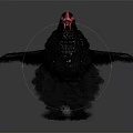 Black Chicken Spreads Wings With Red Comb And Fluffy Feathers In Gray Gradient Background