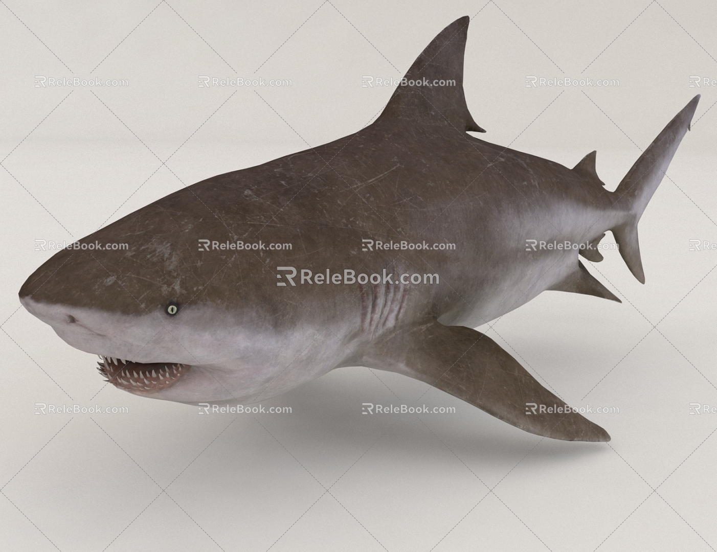 Ocean Sharks 3d model