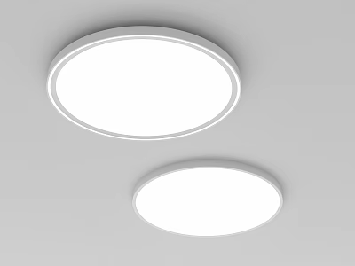 Two Round Modern LED Ceiling Lights Mounted On White Ceiling With Simple Design 3d model