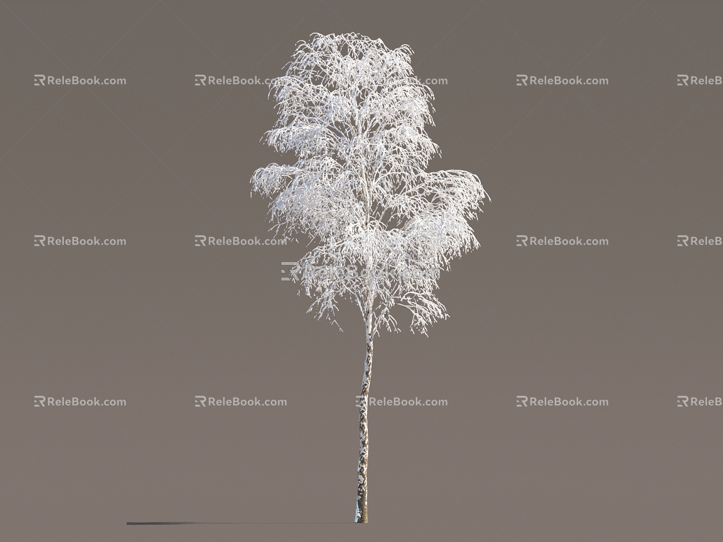 Winter Trees Ice and Snow Trees Frozen Trees Ice and Snow Scenes Snow and Ice Cover Street Trees in Winter 3d model